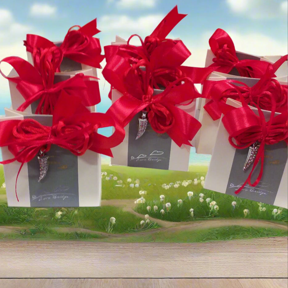 allestimento laurea cornetto brillantini ciondolo portafortuna collanina bomboniera confezionata confetti idea regalo scelta nastrini colori per scatolina packaging rosso coccarda Comunione Cresima