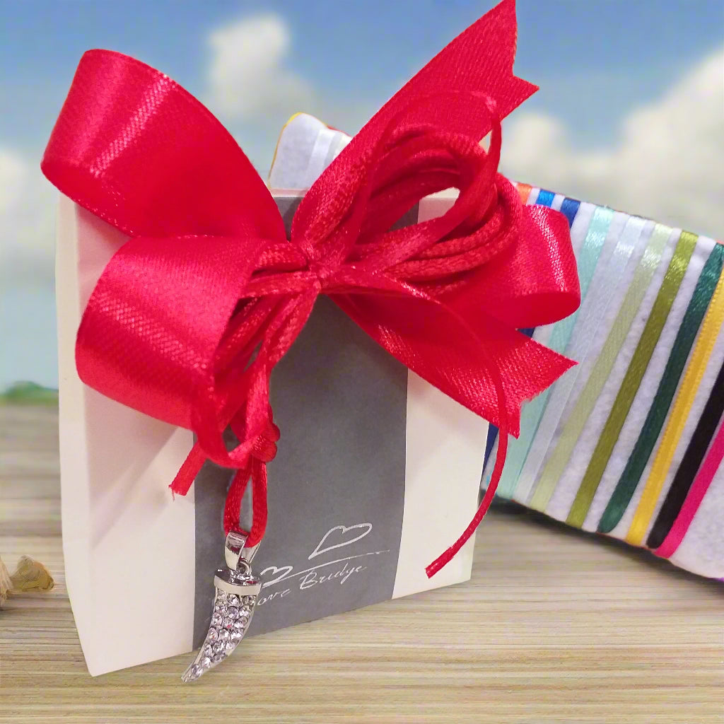 dall'alto e frontale cornetto brillantini ciondolo portafortuna collanina bomboniera confezionata confetti idea regalo scelta nastrini colori per scatolina packaging laurea rosso coccarda Comunione Cresima