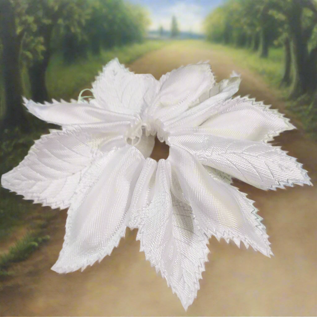 dall'alto nastro canetè organza portaconfetti tirante foglie petali per costruire coccarda bianca segnaposto packaging confezionamento bomboniere fai da te fiori confetti italiani