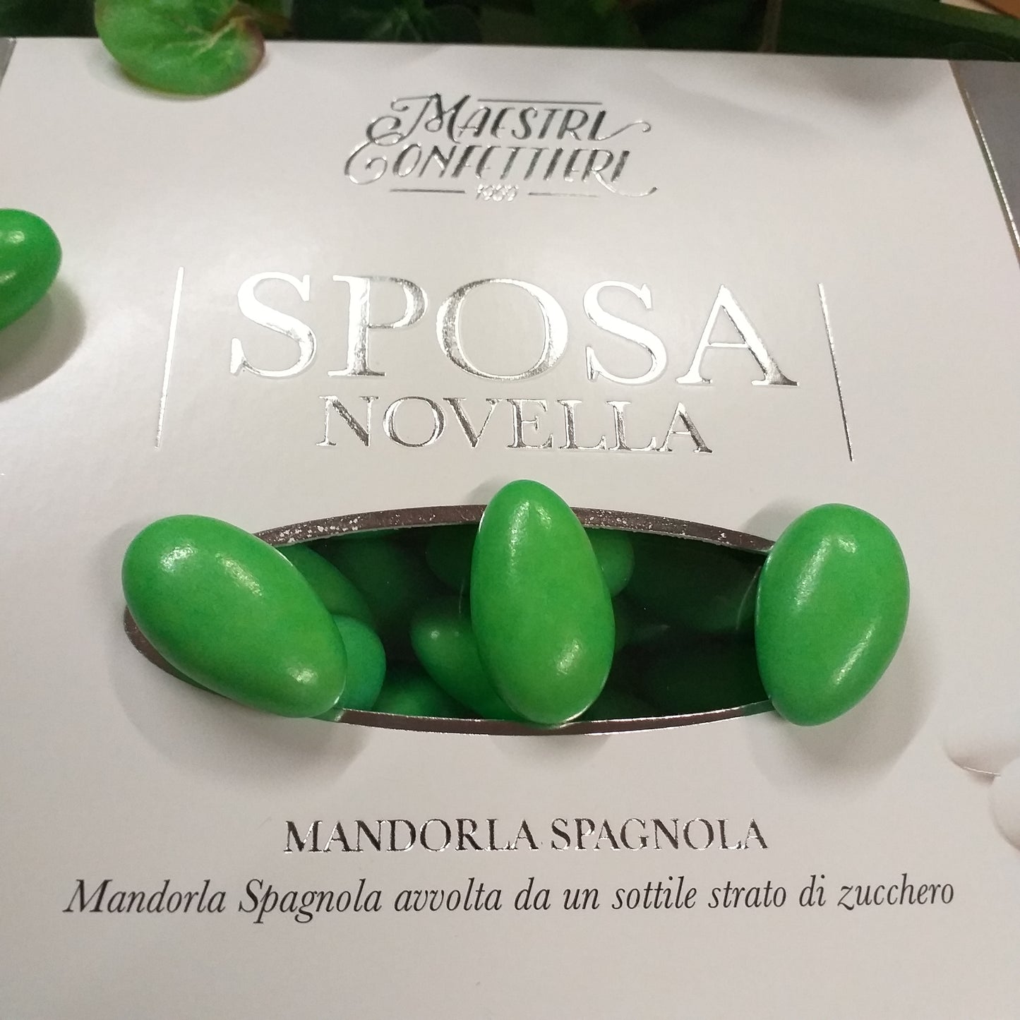colore verde Sposa Novella Maestri confettieri Maxtris confetti italiani al kg mandorla classica spagnola uso fai da te bomboniere alta resa confettata confezionamento sacchetti matrimonio Comunione Battesimo nascita anniversario nozze