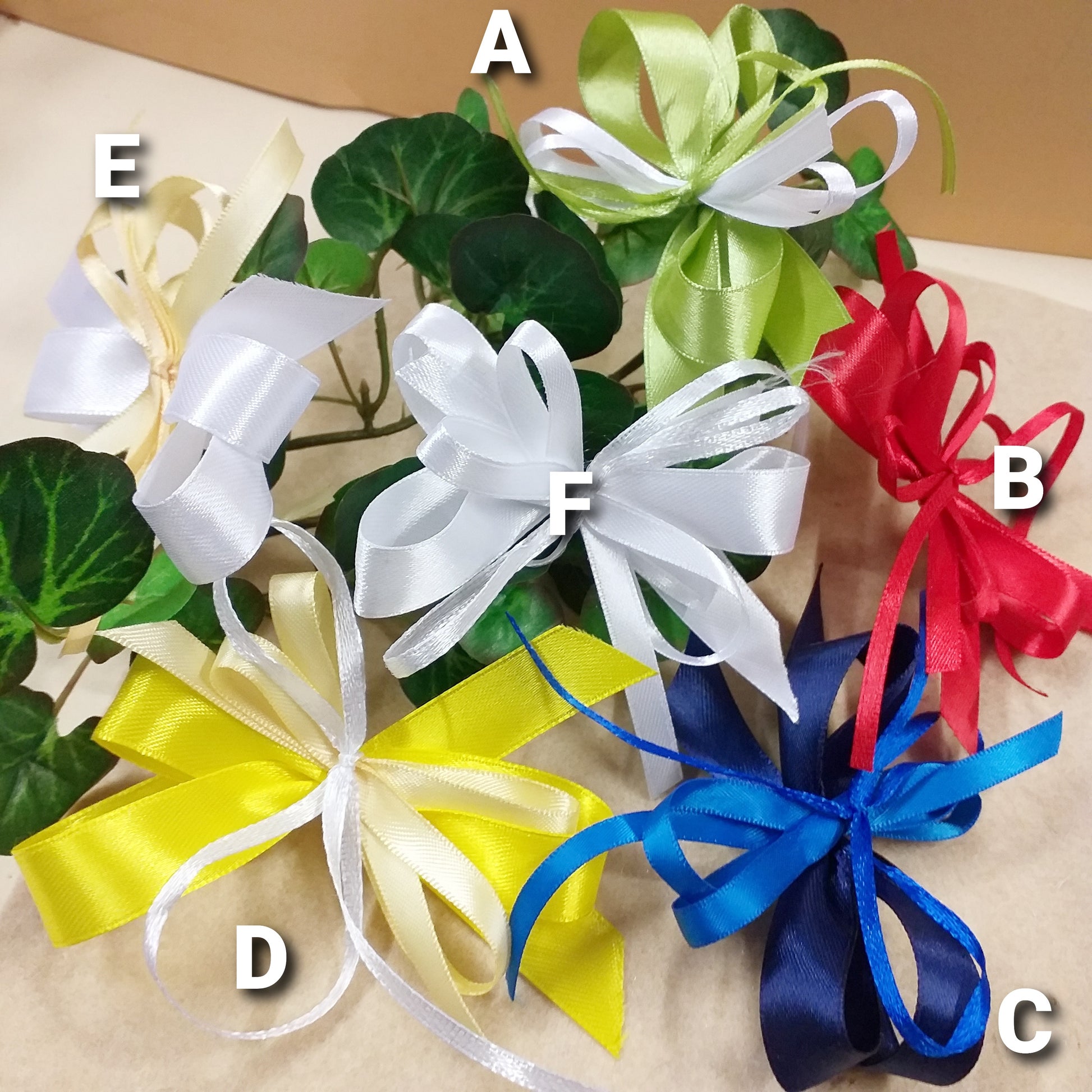 vetrina colori vivaci per coccarde fiocchi pronti fai da te bomboniere confezionare scatole packaging confezioni pacchi regalo