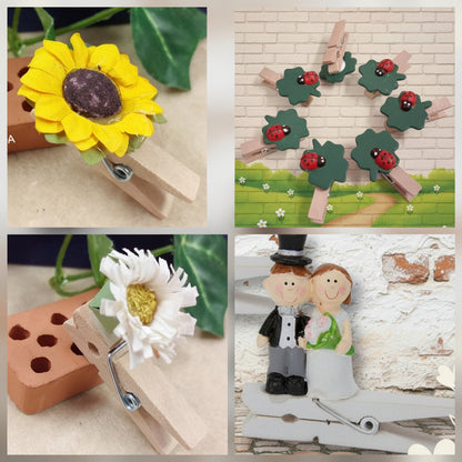 clip legno pinzette portabigliettini chiudipacco mollette bomboniere fai da te decorative pinze sposini fiori coccinelle quadrifoglio colorate uso packaging confezionamento hobbistica