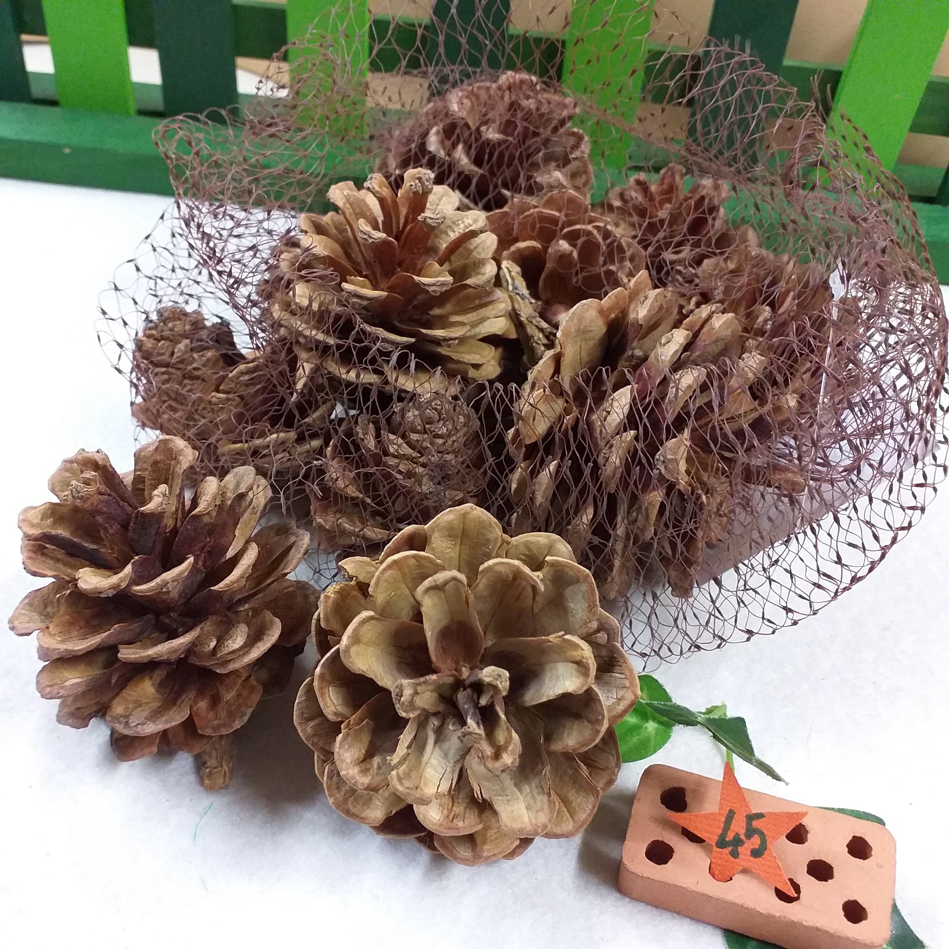 pino pigne naturali decorazioni fai da te natalizie misto bacche chiare scure grandi piccole uso addobbi albero natale centrotavola