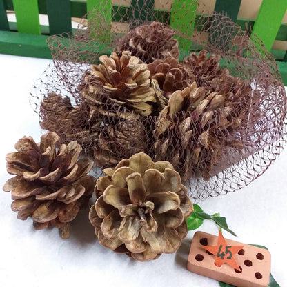 pino pigne naturali decorazioni fai da te natalizie misto bacche chiare scure grandi piccole uso addobbi albero natale centrotavola