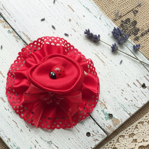forma cappellino applicazione coccinella sacchetti rossi portaconfetti laurea fai da te bomboniere e confettata