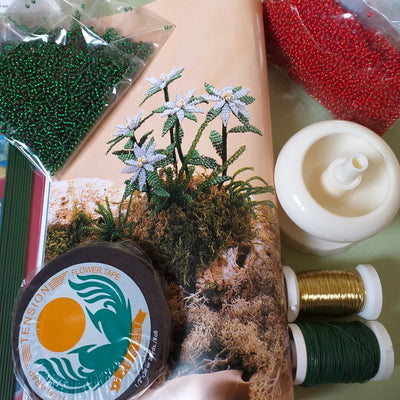 Perline rocailles manuali libri creativi kit yoyo filo stelle Natale