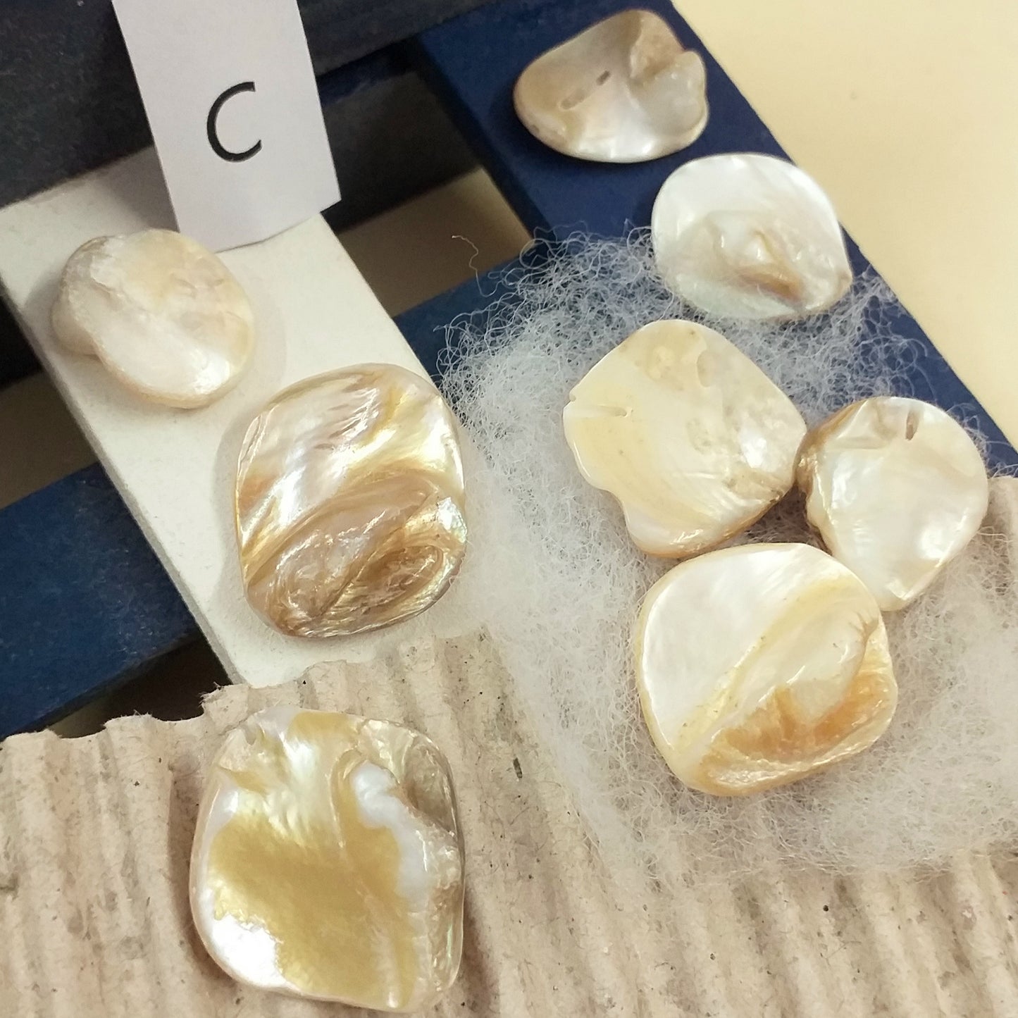 lotto C ciondoli conchiglie perline forate per collane bigiotteria orecchini bracciali bomboniere tema mare perle fai da te gioielli Bijoux
