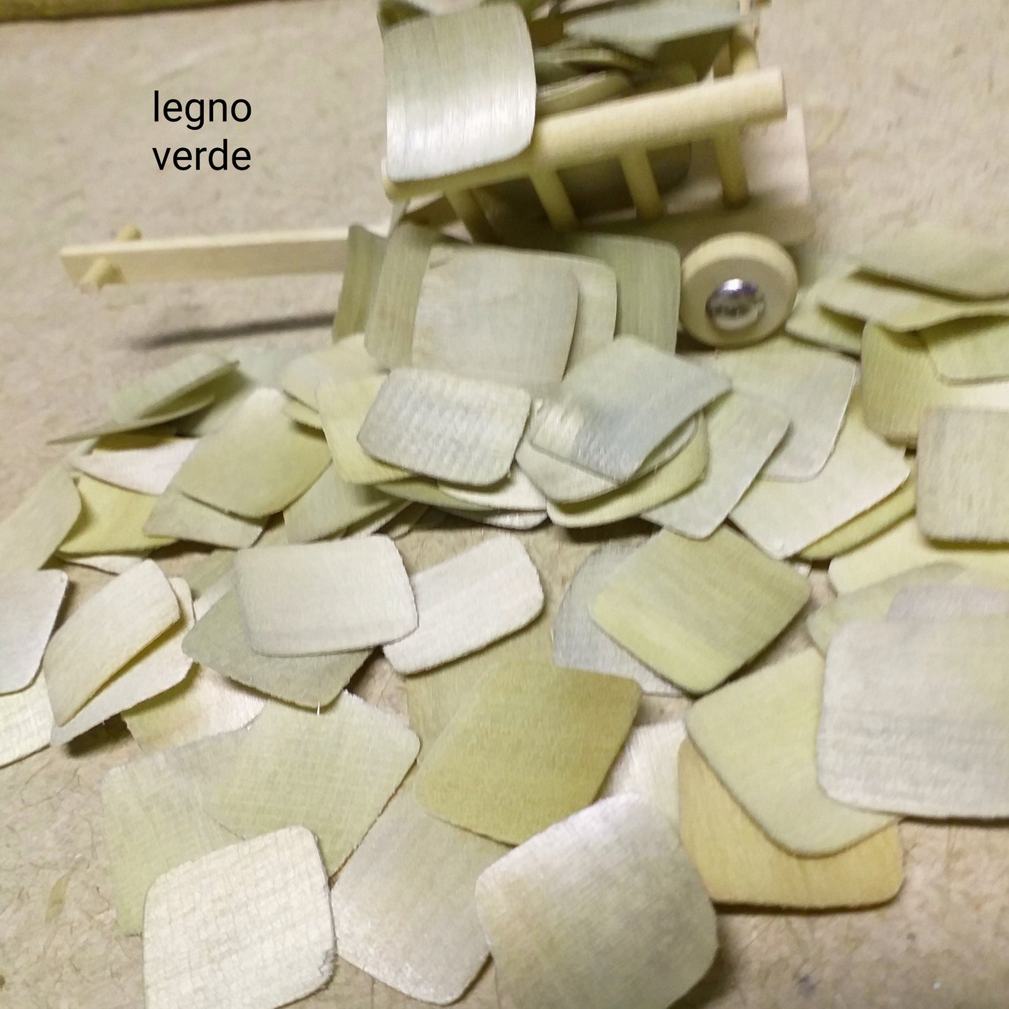 Colore verde Petali legno leggero uso creazioni fiori lavoretti creativi bambini decorazioni natalizie Natale rustico albero Shabby country