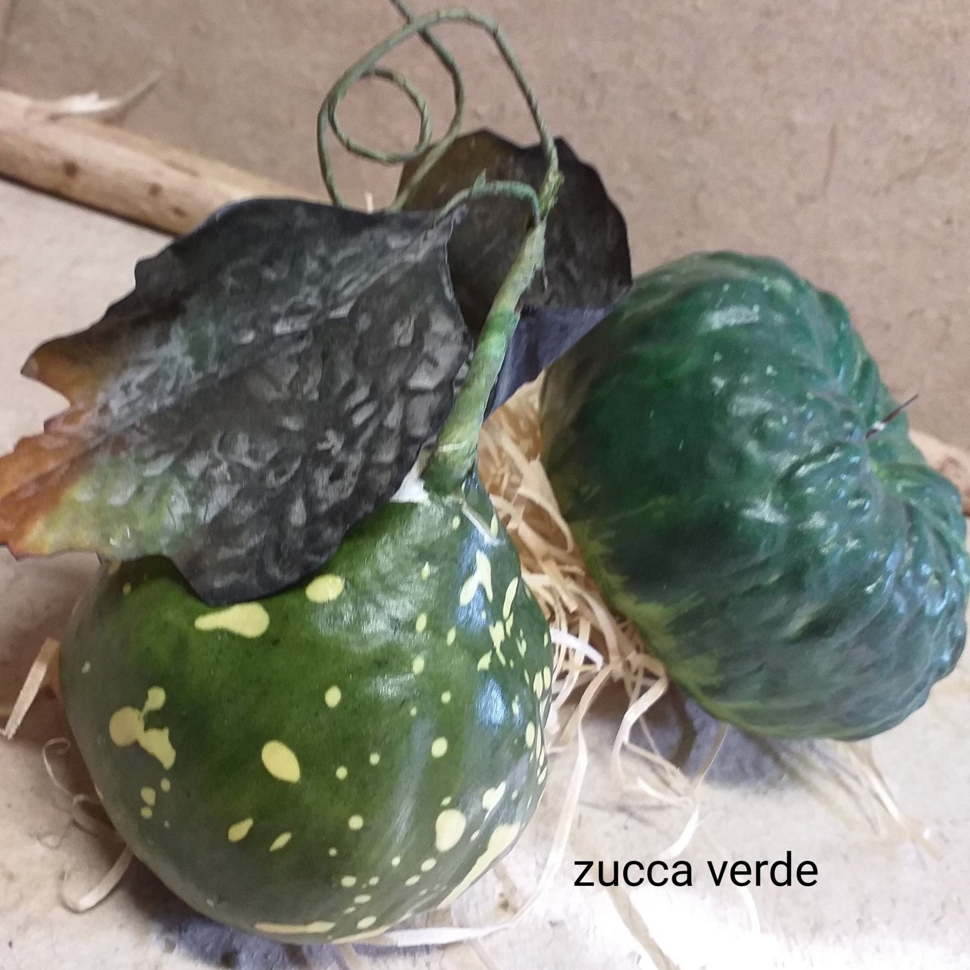 zucca rotonda verde con foglie verdura finta artificiale decorativa vendita per decorazioni Halloween addobbi Natale casa e vetrine fai da te hobbistica creativa
